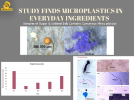 Study finds microplastics in everyday food ingredients